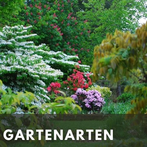 Gartenarten - Beitragsbild